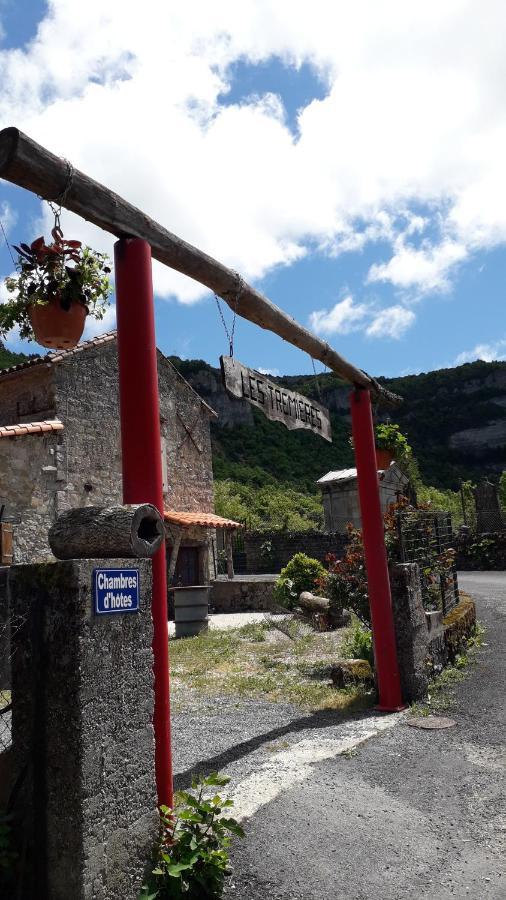 Les Tremieres Bed & Breakfast Saint-Paul-des-Fonts ภายนอก รูปภาพ